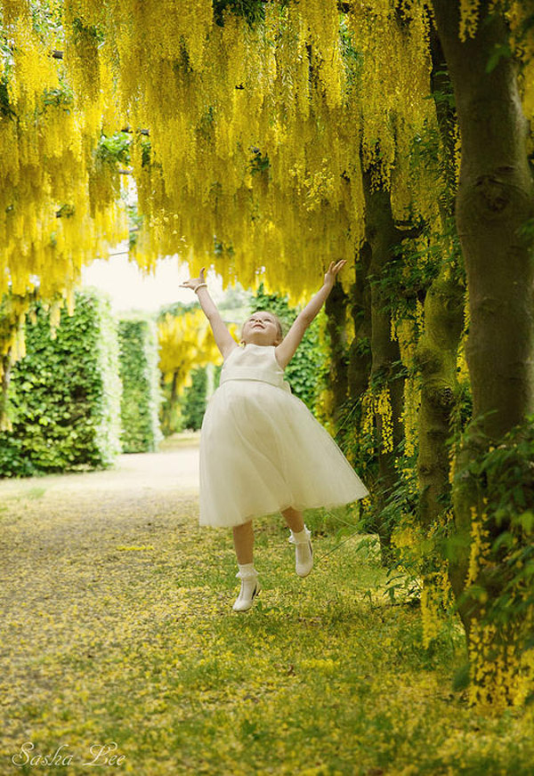 Beautiful yellow flower backdrop at UK wedding venue with natural wedding photography by Sasha Lee Photography