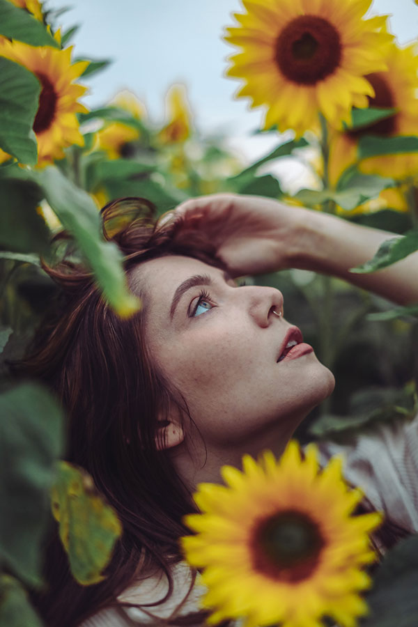 Rachael Sunflower 12