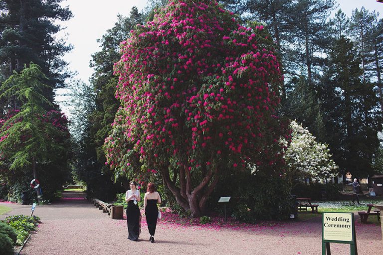 Papplewick Pumping Station Wedding ♡ Amy & Andrew