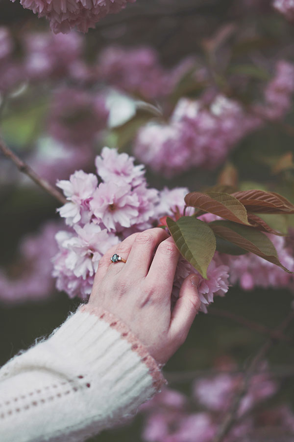 Cherry blossom engagement photoshoot Sheffield