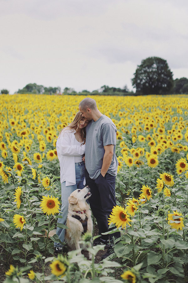 Natural engagement photos of couple in sunflower field at Barlow Sunflower Field