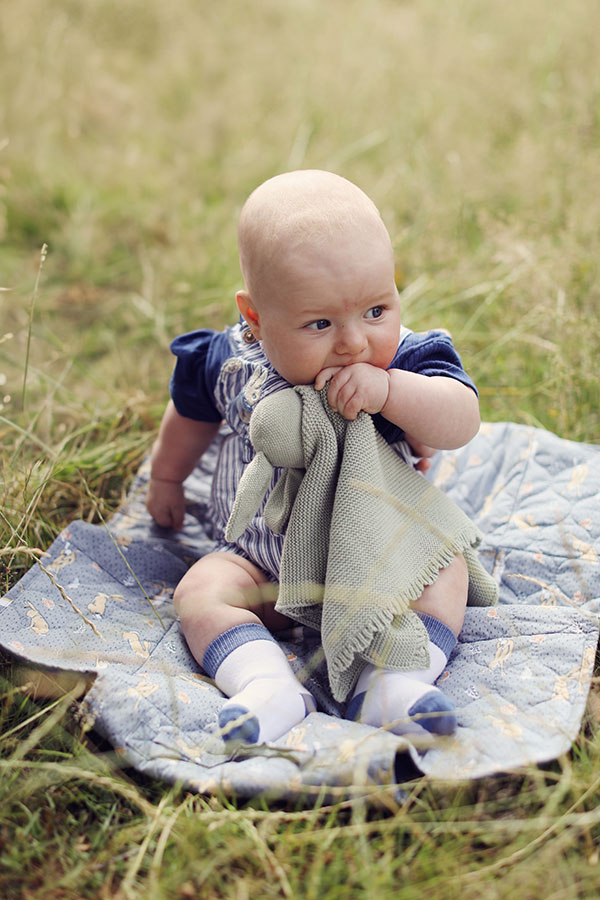 Family photoshoot at Sheffield Botanical Gardens with parents and baby in summer