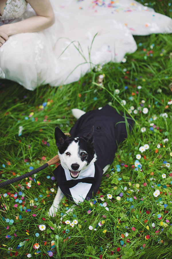 Groom smiling at bride during sunny Stamford Registry Office wedding ceremony