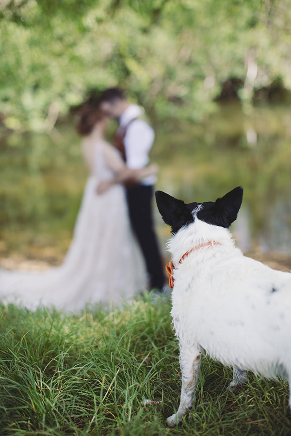 Stamford Registry Office wedding photography of couple walking hand in hand in sunshine