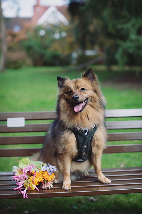 Manchester wedding photography capturing Rebecca and Tom with friends in the gardens