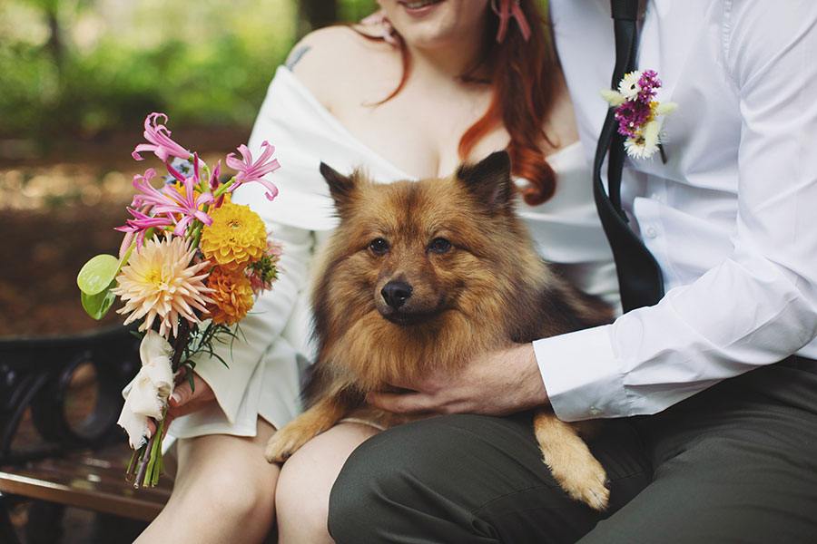 Manchester wedding photography of Rebecca and Tom with their dog Pedro in the gardens