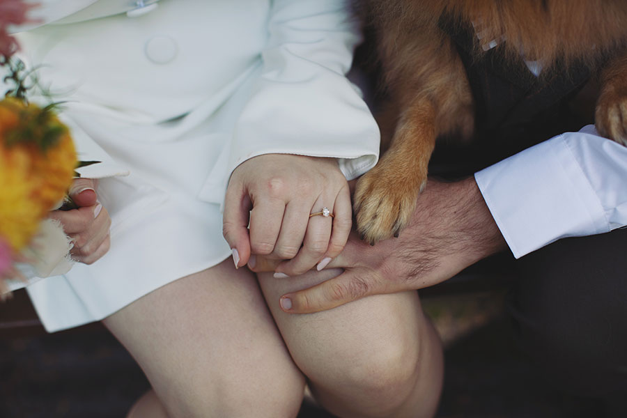 Manchester wedding photography of Rebecca and Tom with their dog Pedro in the gardens