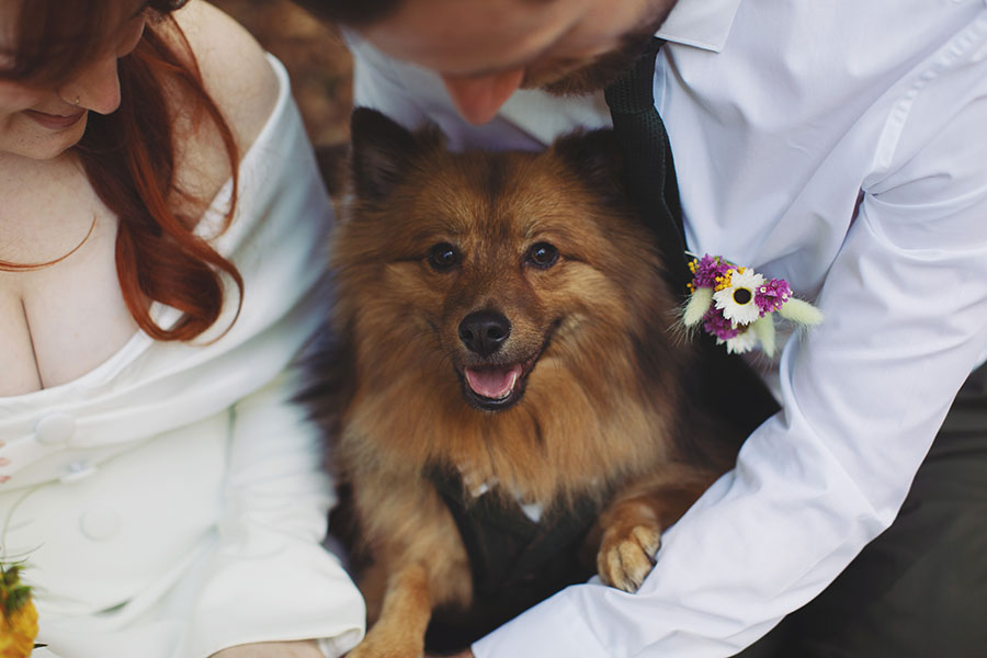 Manchester wedding photography of Rebecca and Tom with their dog Pedro in the gardens