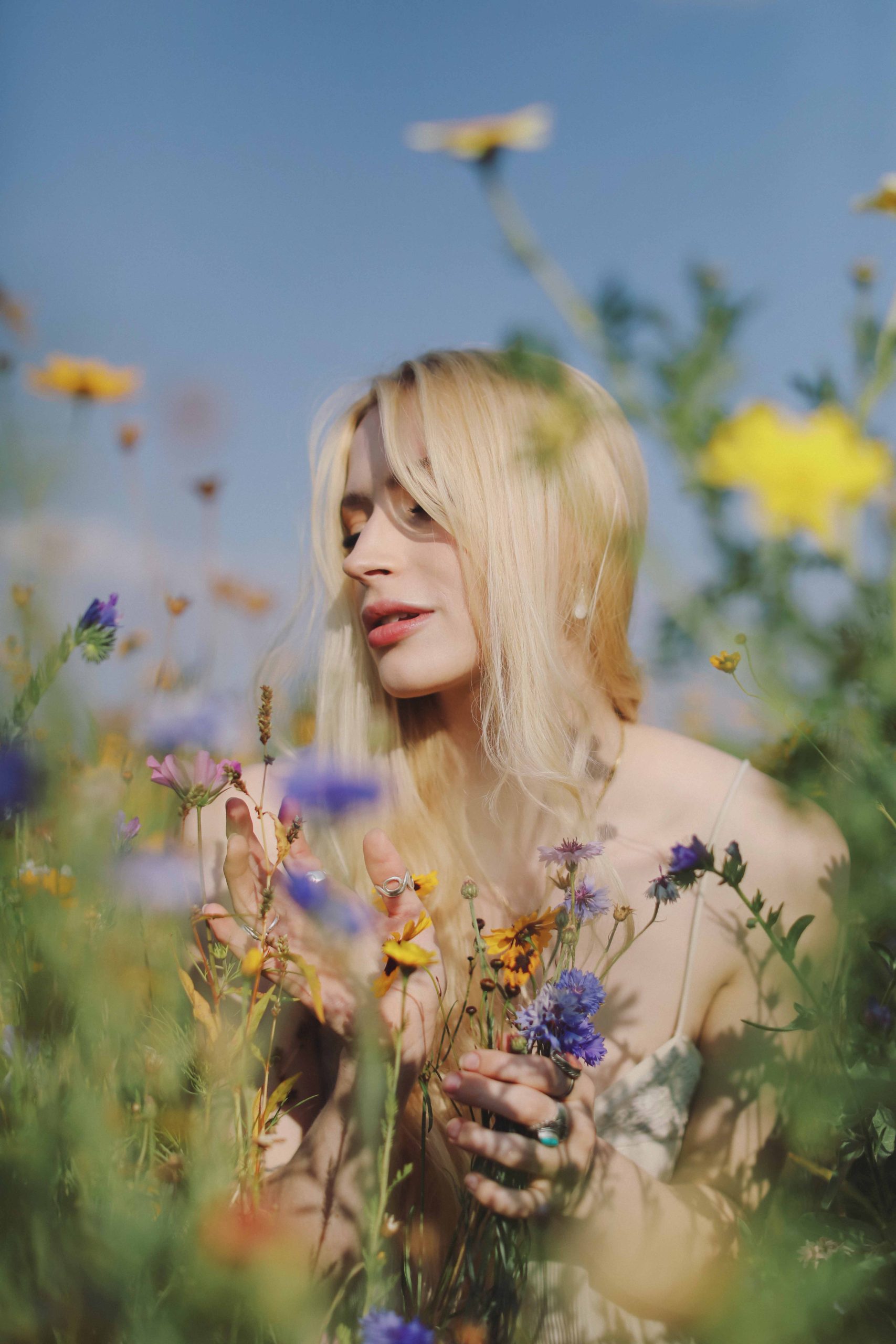 Milly&Sunflowers 82