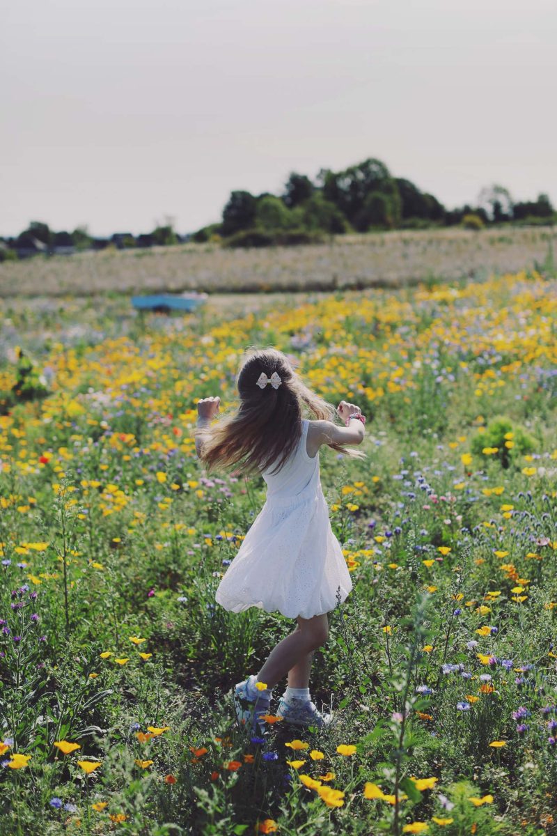 Girl playing in a sunflower field