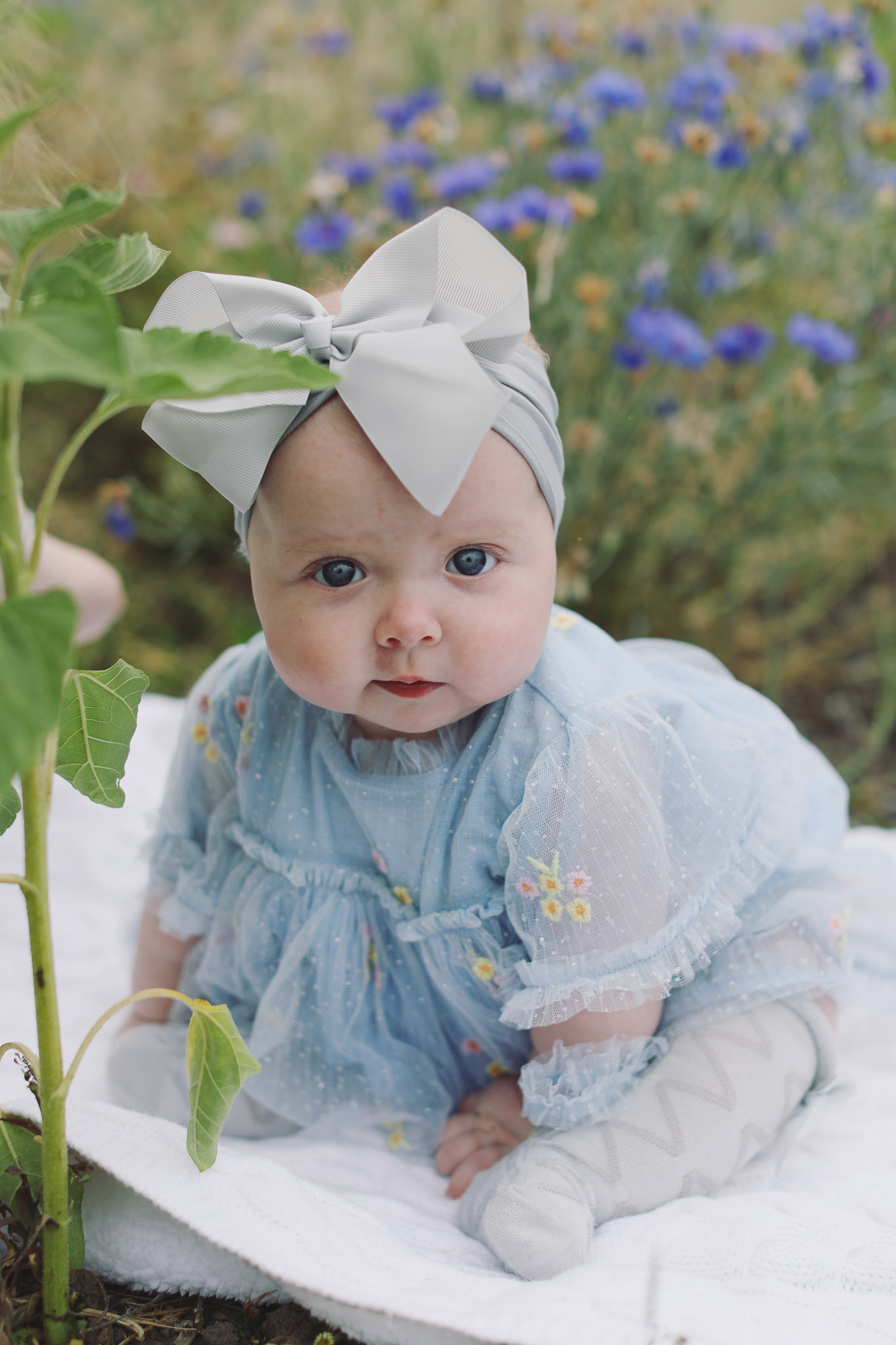 Summer portrait session surrounded by sunflowers in full bloom