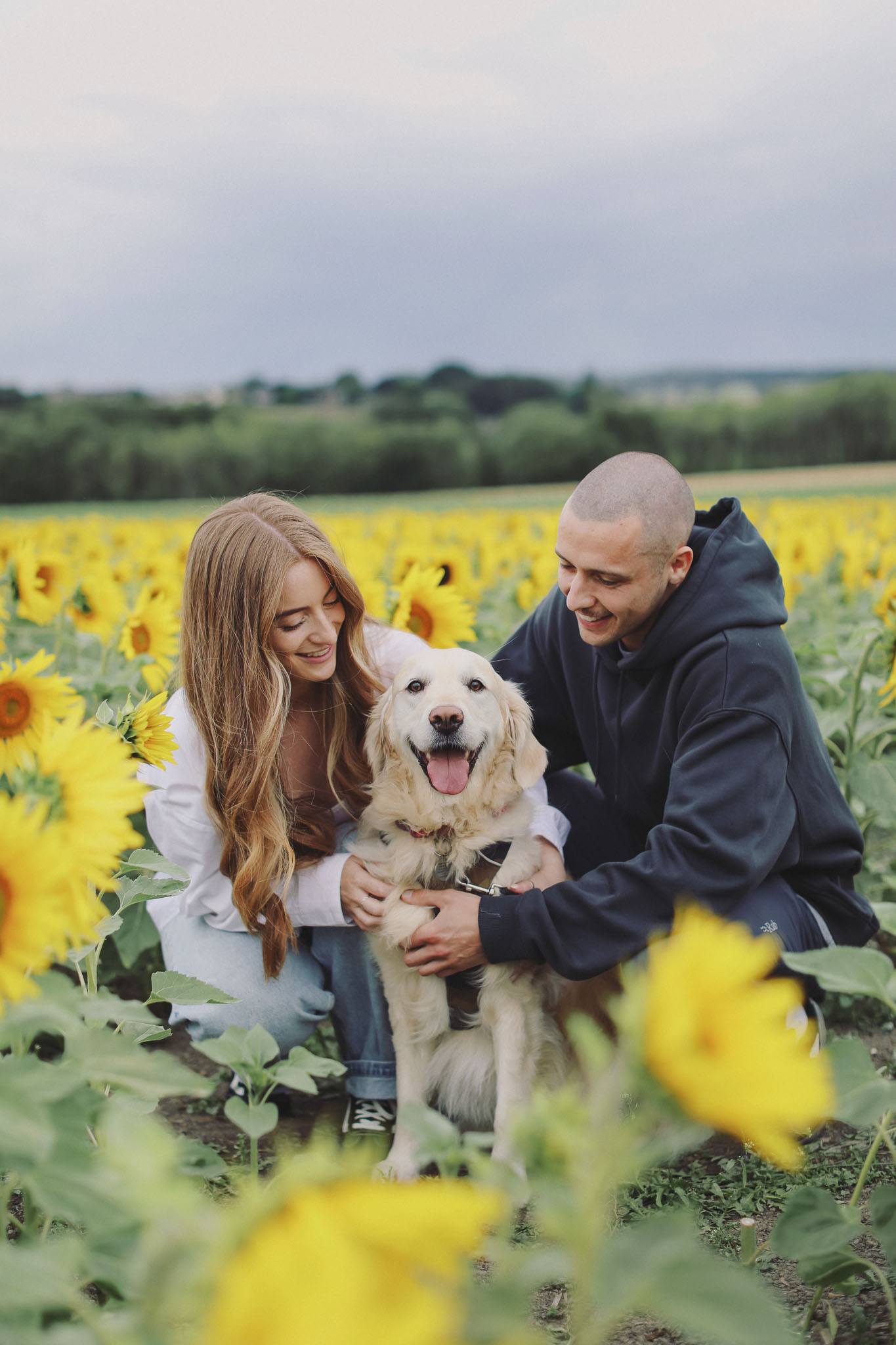 Portrait photography at Barlow Sunflower Fields with rows of bright yellow flowers