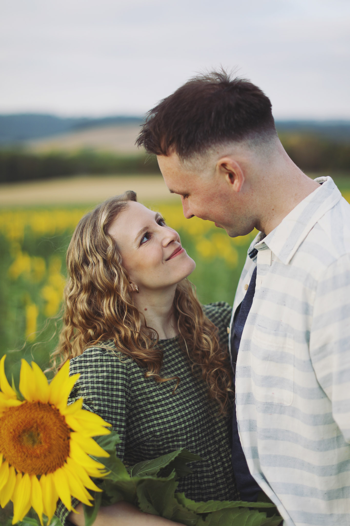 Portrait photography at Barlow Sunflower Fields with rows of bright yellow flowers