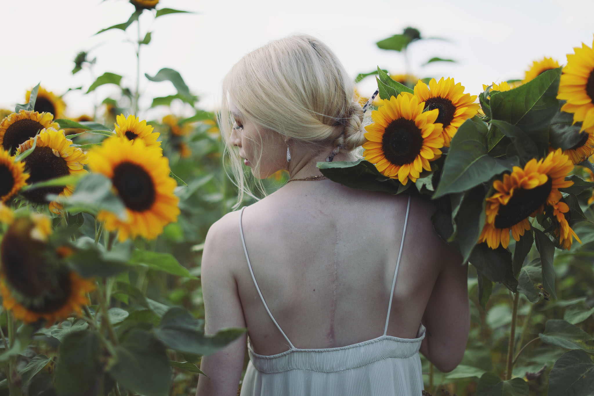 Portrait of a woman in a white dress surrounded by sunflowers in Barlow fields