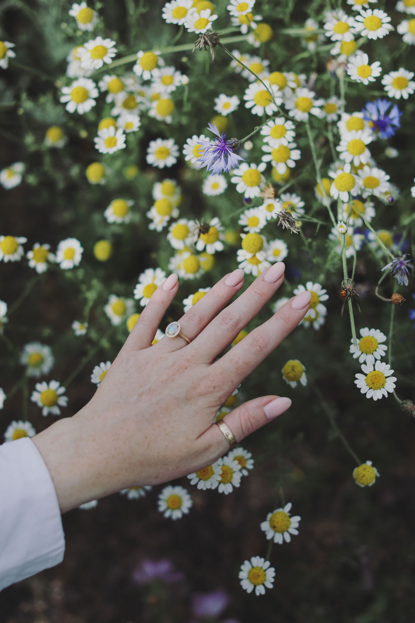 Beautiful engagement ring with summer flowers