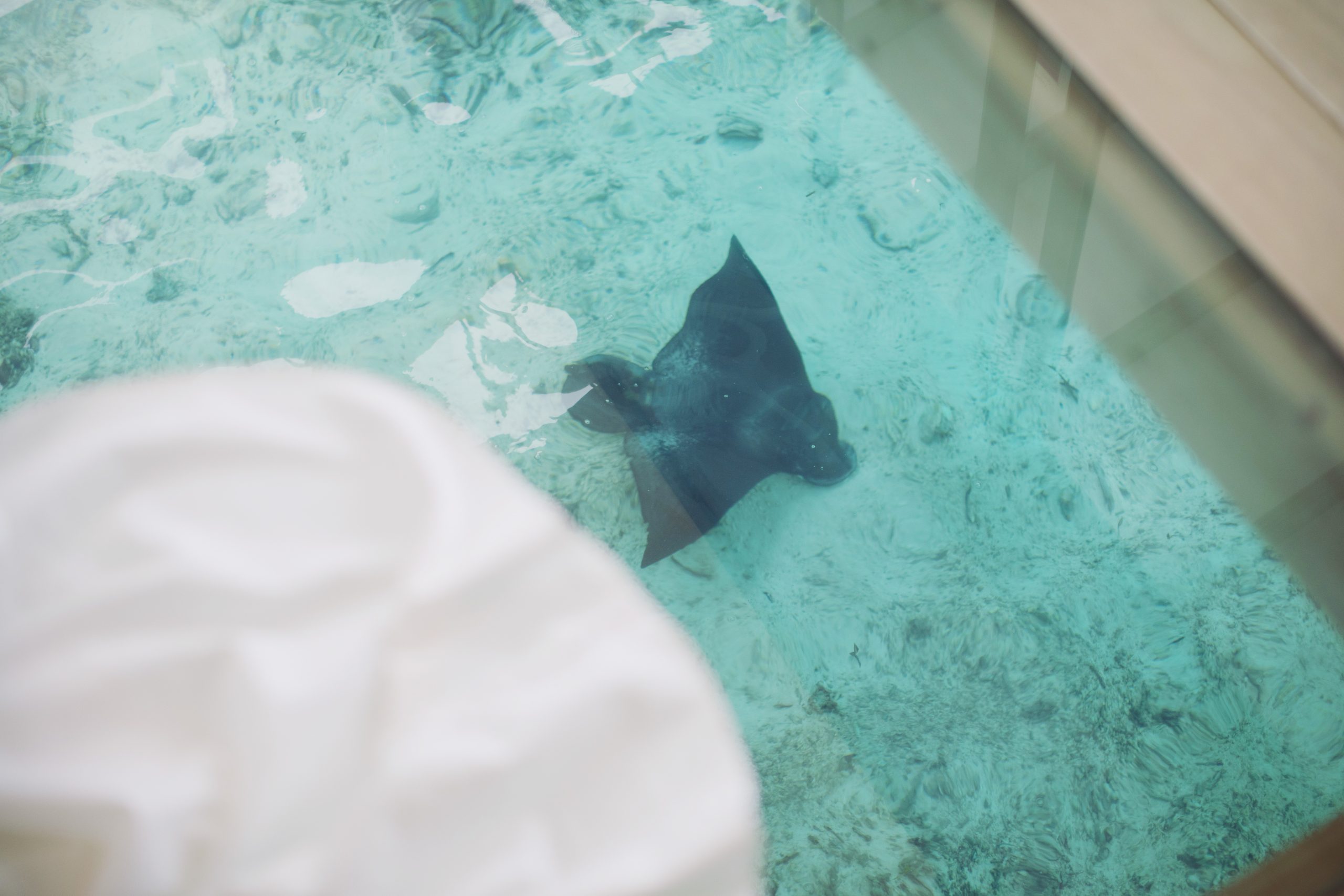 Rebecca & Tom ♡ Maldives Elopement Wedding Photography 8 Intimate Maldives Elopement at Cinnamon Hakuraa Huraa Maldives