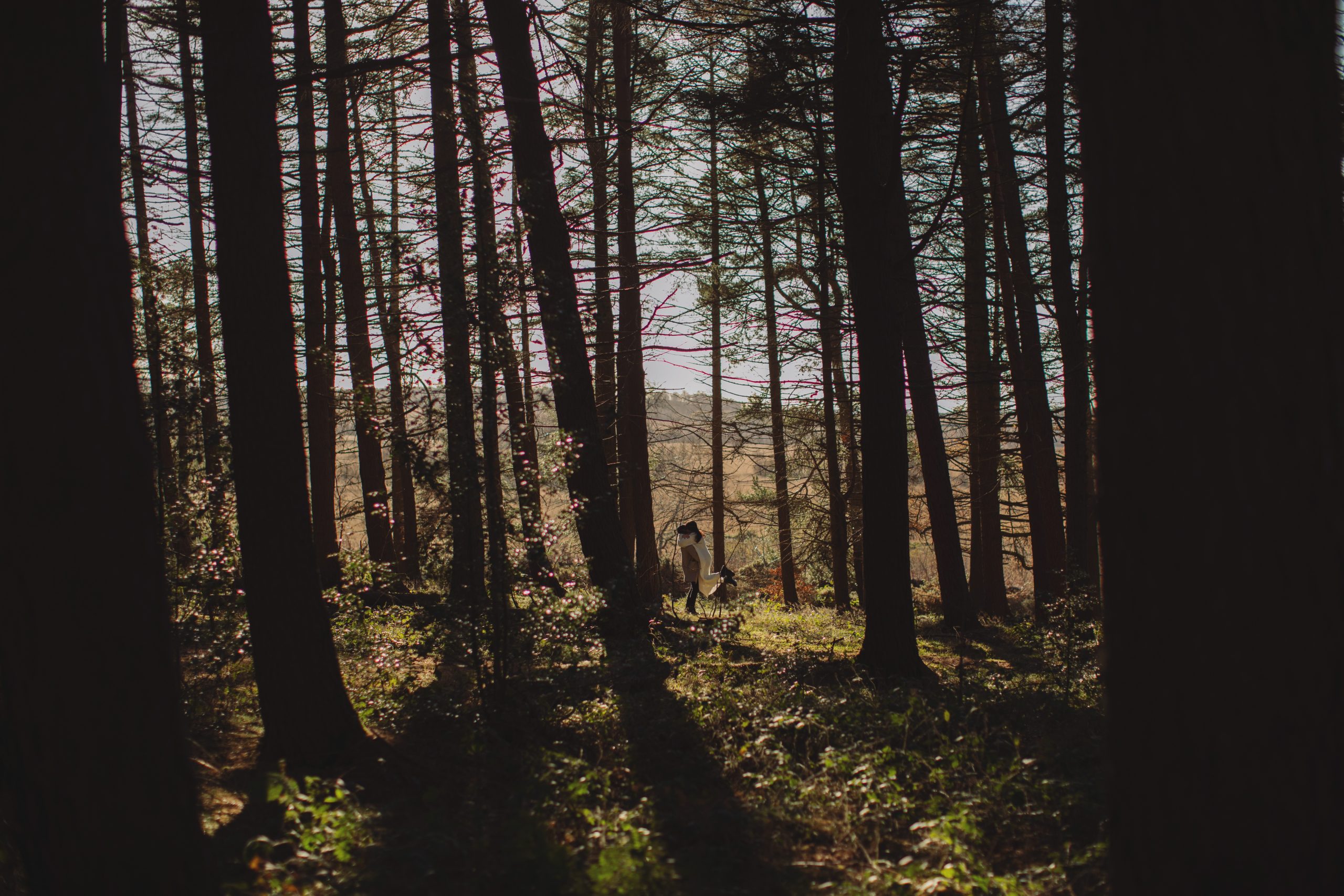 Cat & Liam ♡ Engagement Photoshoot at Shillito Woods 15 Natural engagement portrait of Cat and Liam in woodland scenery on a crisp November day in the Peak District.