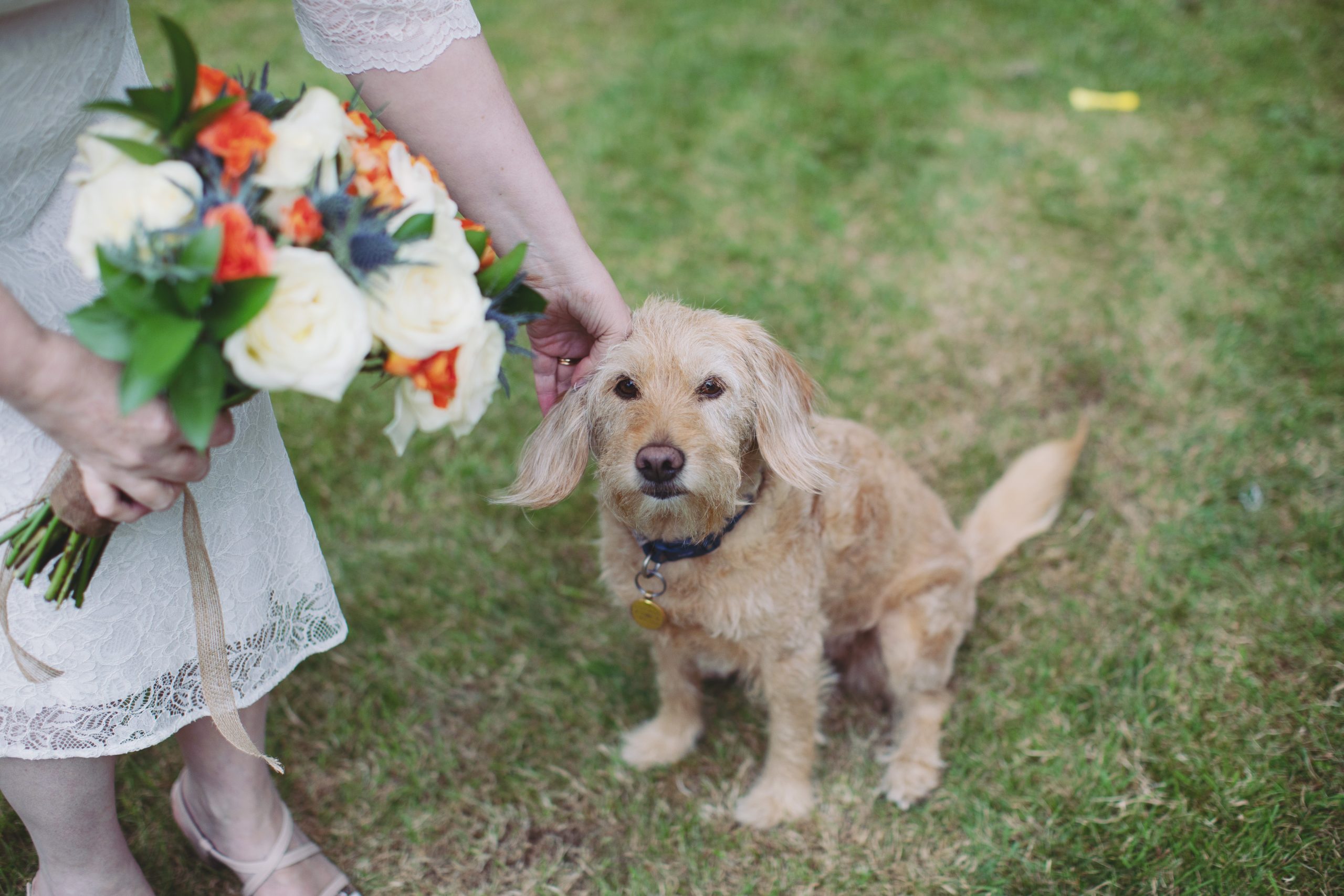 Siobhan & Jonathan ♡ Bakewell Town Hall Wedding 45 Siobhan & Jonathan 468