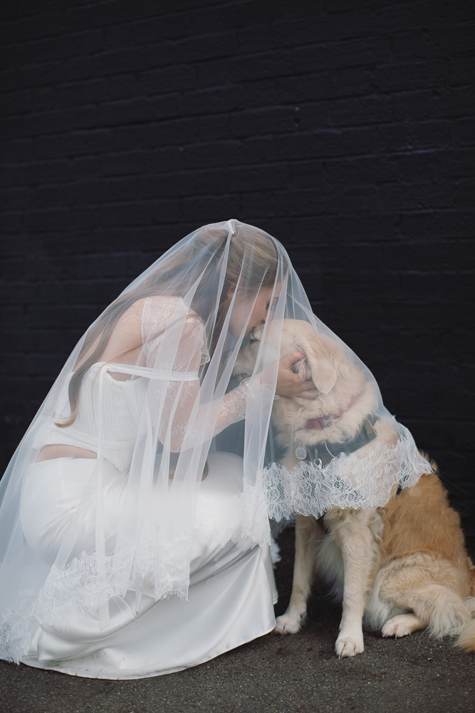 Ellie & Kamen ♡ The Victoria Wedding Venue, Sheffield 41 Bride and groom with their pet dog at The Victoria wedding venue Sheffield