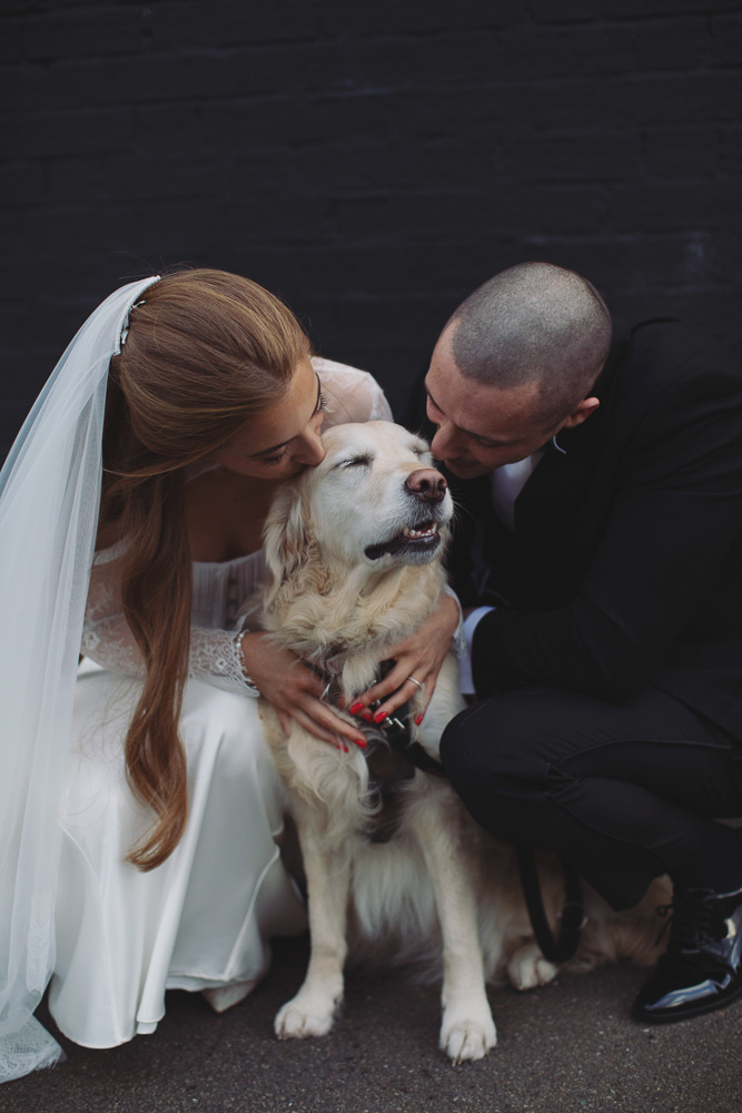 Ellie & Kamen ♡ The Victoria Wedding Venue, Sheffield 39 Bride and groom with their pet dog at The Victoria wedding venue Sheffield